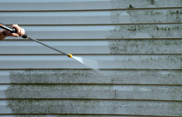 Attic Mold Removal in Springtown, TX