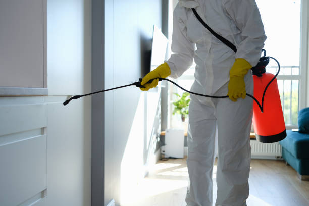 Best Certified Mold Removal  in Springtown, TX